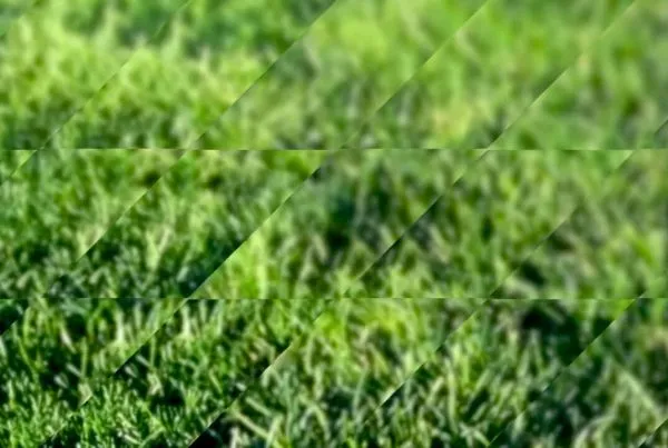 Motion Video Shadow Lines Grass 01