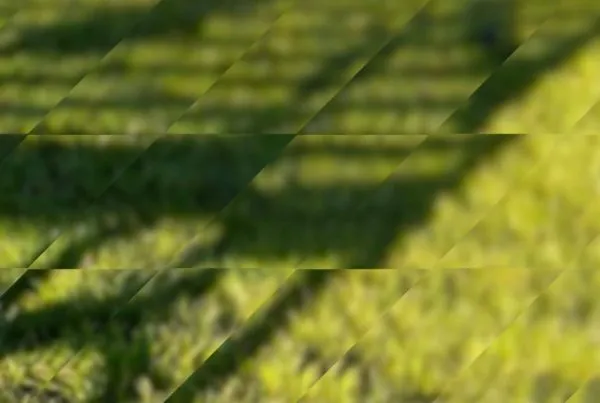 Motion Video Shadow Lines Bench 01